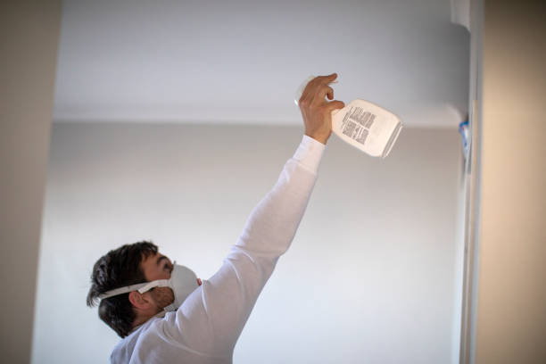 Best Industrial Mold Remediation in Vernon Valley, NJ