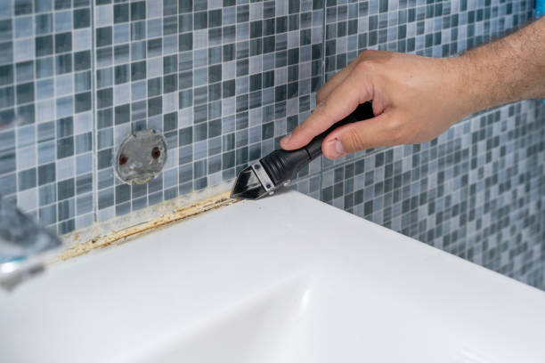 Professional Mold Remediation in Vernon Valley, NJ